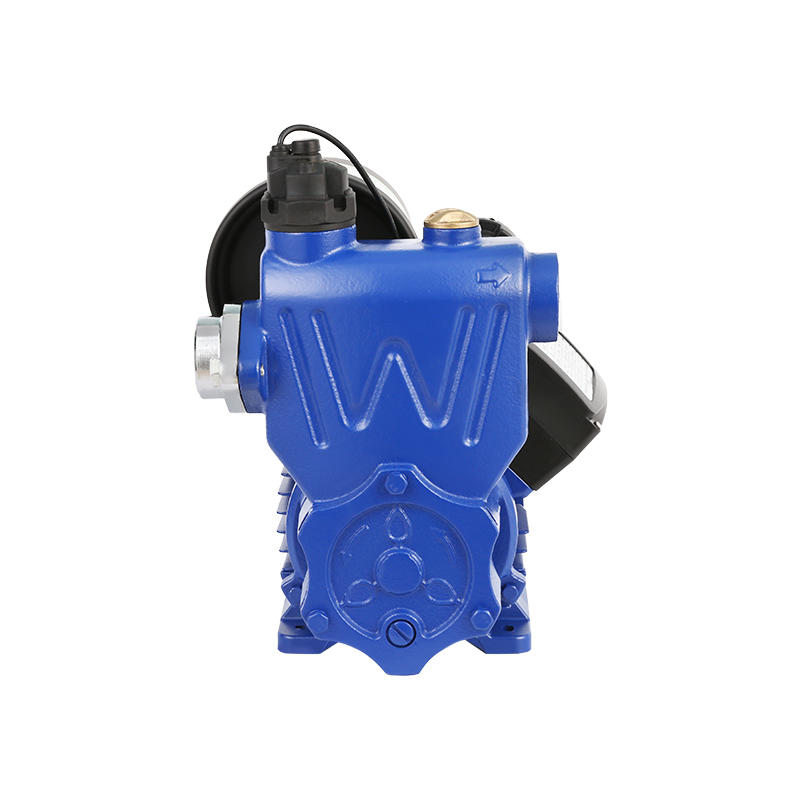 WKP Intelligent Self-priming Peripheral Pump