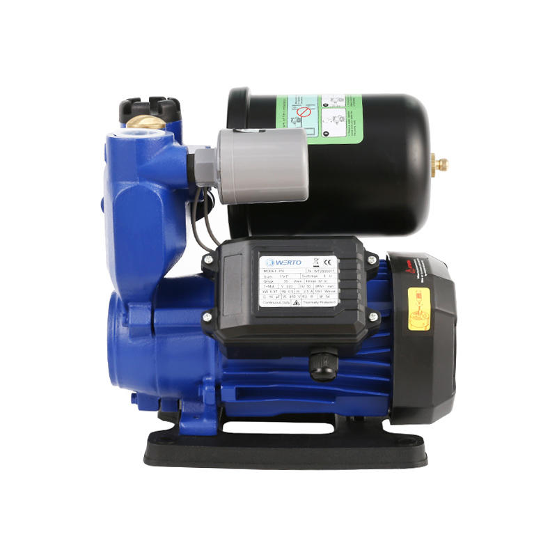PW370 Automatic Peripheral Pump