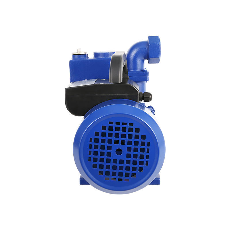 Werto WZB Series Peripheral Pump Clean Water Pumps