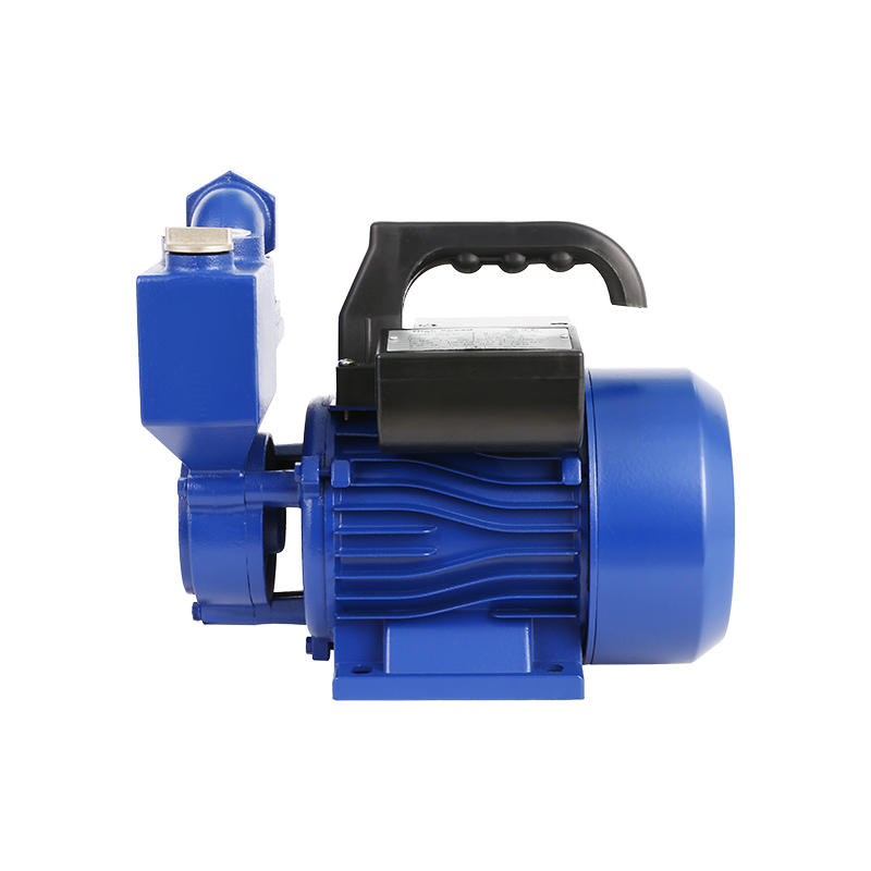 Werto WZB Series Peripheral Pump Clean Water Pumps