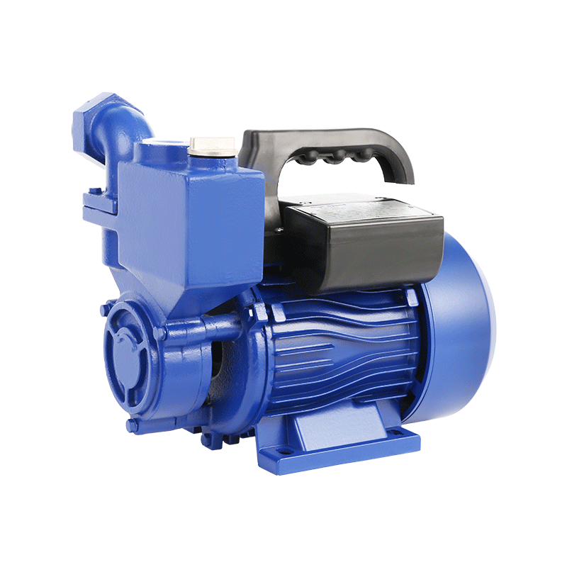 Werto Wzb Series Peripheral Pump Clean Water Pumps